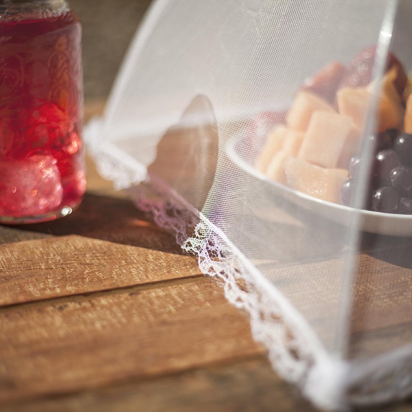 Mesh Outdoor Food Cover Tents